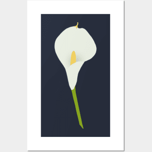 Calla Lily Posters and Art